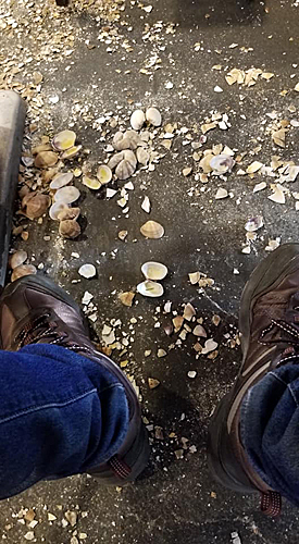 顾客们吃完海鲜,便将海鲜的壳直接扔到地上。(社交网页截图)