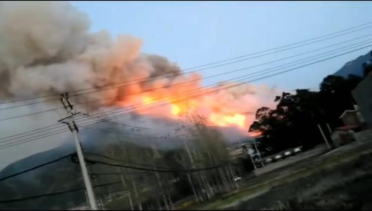  （部分图片据网络）