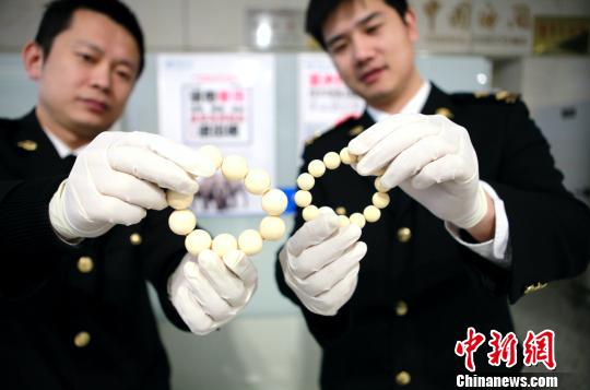 南京海关查获疑似象牙制品截获进境有害生物“绿香蕉”