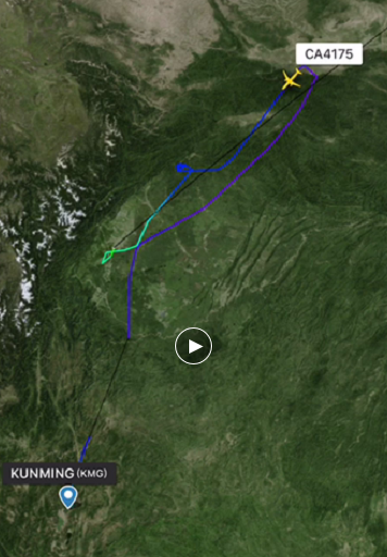 　某航旅APP显示，国航CA4175航班飞行途中，调头折返备降。 视频截图。