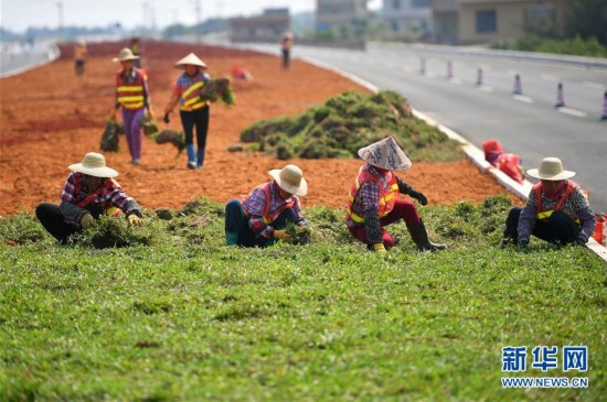 海口推进江东新区建设