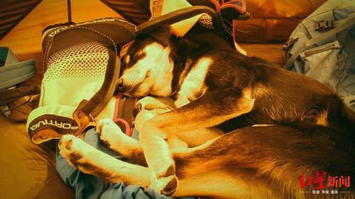 Mera渐渐成为这个团队的一份子 图据Don Wargowsky