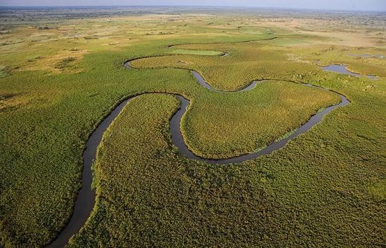 ↑ 图为奥卡万戈三角洲。