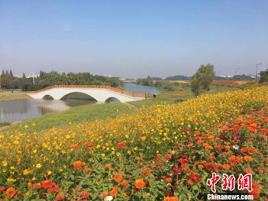 安徽森林面积近400万公顷自然保护区达110处