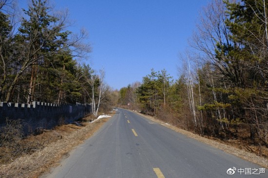 进入军马场，交通便利，沿路驱车而上很容易看到路边的曹园，曹园就坐落在森林深处