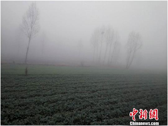 甘肃暂别晴暖天气格局多地低温破冰点似&ldquo;一夜入冬&rdquo;