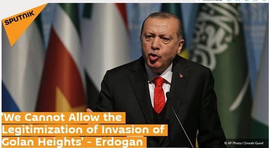 (俄罗斯卫星网报道截图)