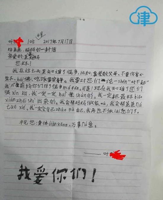 　（儿子叶某某的日记）