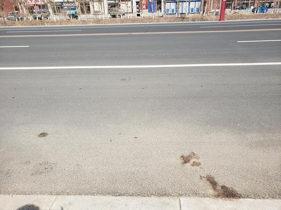 宇亨建材城门口路边,依然可见风干的血迹。 新京报记者 张熙廷 摄