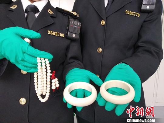 甘肃严打非法携带象牙等濒危物种及其制品进境违法行为