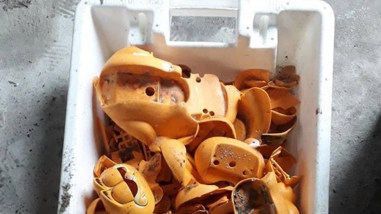 冲到岸边的电话零件装满了一盒子。(图源:《法国西部报》)