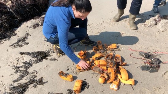 工作人员清点“加菲猫电话”(图源:franceinfo)