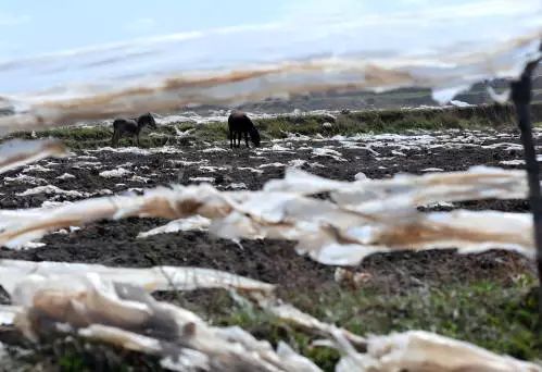 美日欧大量废塑料滞留