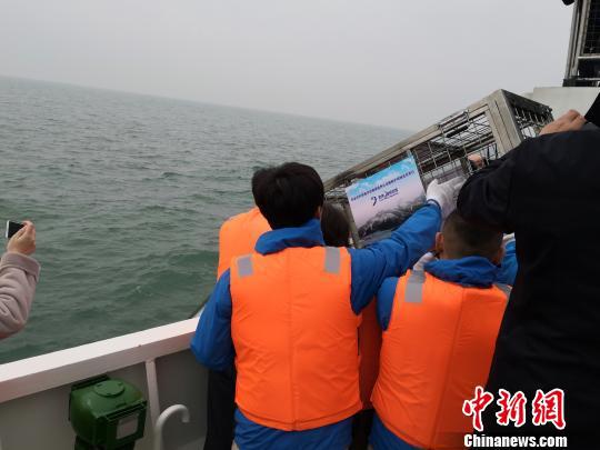  首批24头幸存斑海豹被放归渤海海域。　智曼卿 摄