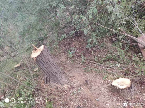 村委委员：&ldquo;我和你说我现在正在开车。&rdquo;