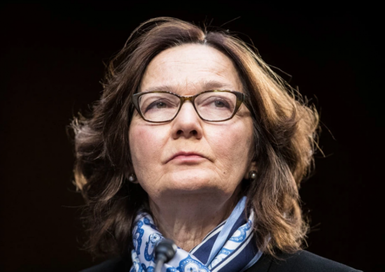 图说 中情局副局长哈斯佩尔 来源:纽约时报