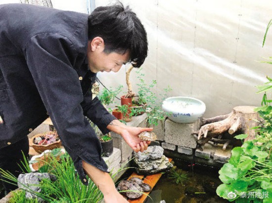 陆伟从水池里提出剃刀龟给记者看