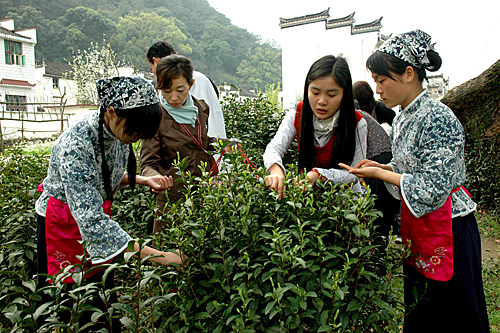  几名日本游客在江西婺源晓起村向采茶女学采茶。（新华社）