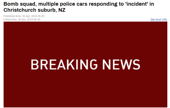 （《今日俄罗斯》截图）