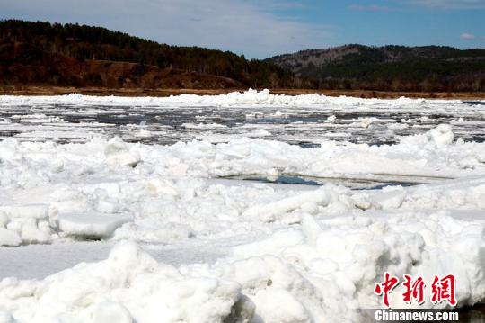 黑龙江漠河段“跑冰排”中俄界江即将全线开江