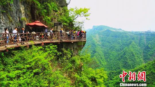贵州万山悬崖上的清洁工:一根绳索走峭壁
