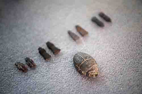 图片来源：法新社