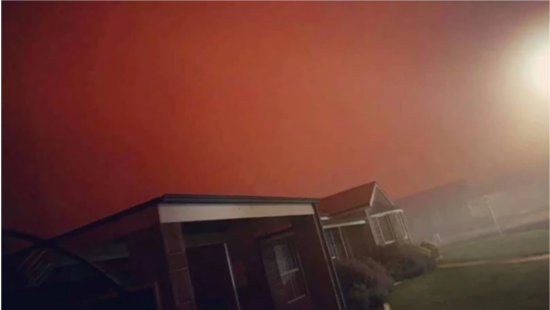 图源：新西兰Stuff网