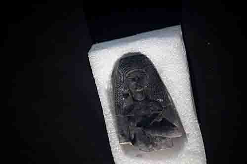 图片来源：法新社