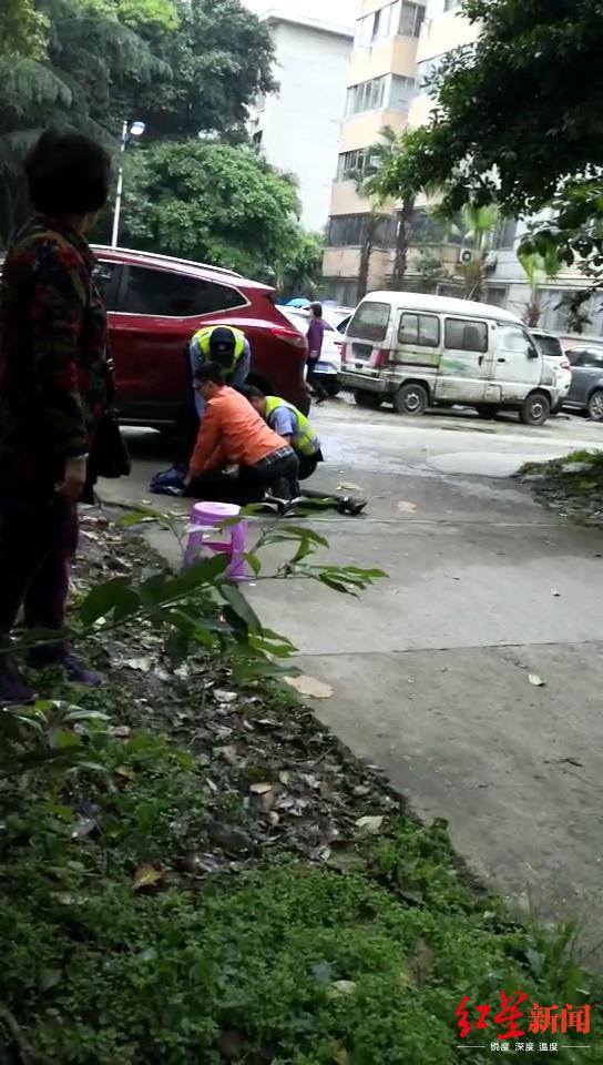 &uarr;当时刘飞和民警一起将流浪狗制服。