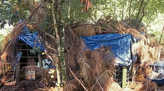  检察官表示，诺普夫妇还强迫受害者住在户外锁着的笼子里（图源：每日邮报）