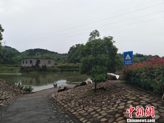 浙江衢州一女子失足落水热心父子合力营救