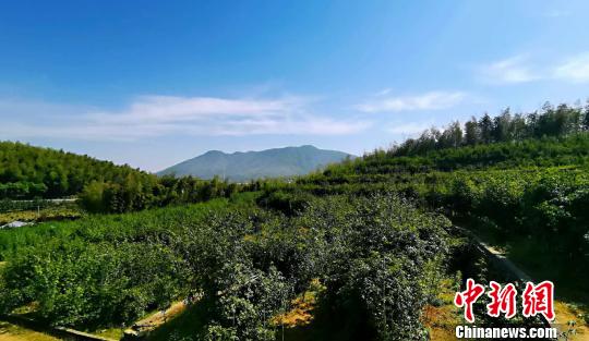 &ldquo;套现&rdquo;童年情怀浙江&ldquo;80后&rdquo;果农将回忆进行到底