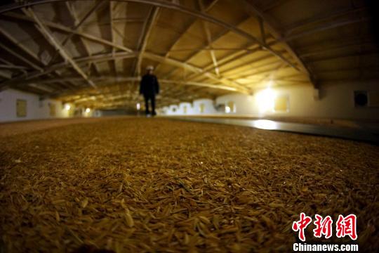 探访中储粮粮库：智能科技守护&ldquo;大国粮仓&rdquo;