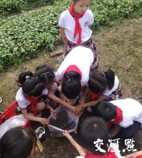 无锡江阴市要塞实验小学学生在江南水务小塆水源地采样。