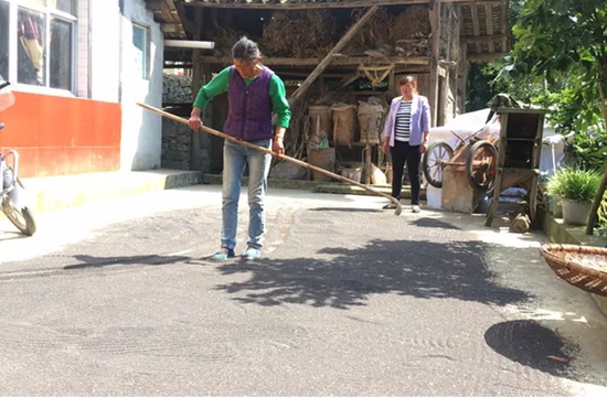   杨信金妻子在晾晒自家地里收来的黑芝麻