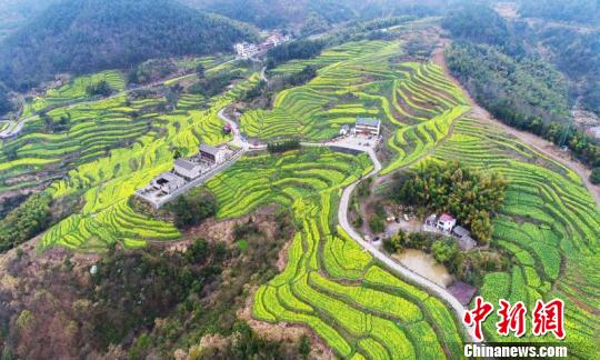 浙江浦江乡贤掀返乡热潮不忘桑梓助力乡村振兴
