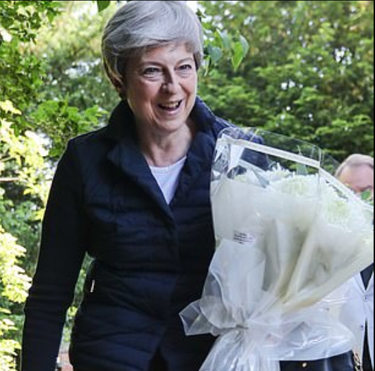 特雷莎·梅(图源:每日邮报)