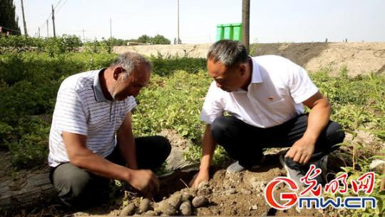 【边疆党旗红】&ldquo;麦盖提好人&rdquo;黄英杰：实事求是 为老百姓利益着想