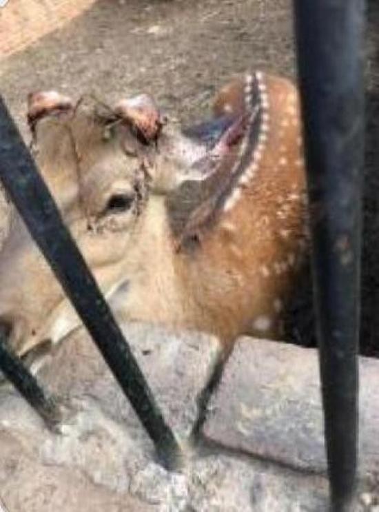 北京头条客户端 图