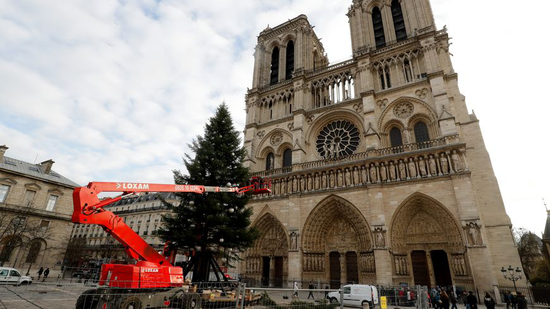 巴黎圣母院(图源:法新社)