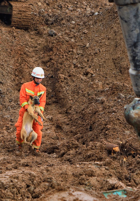 救援人员在现场指挥搜救犬开展救援。