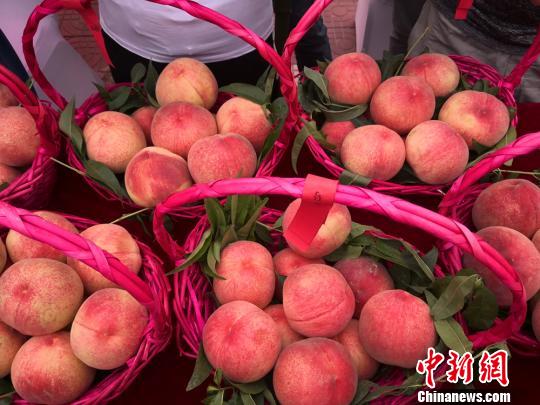中国仙桃之乡“古法”培育有机循环受海外市场青睐