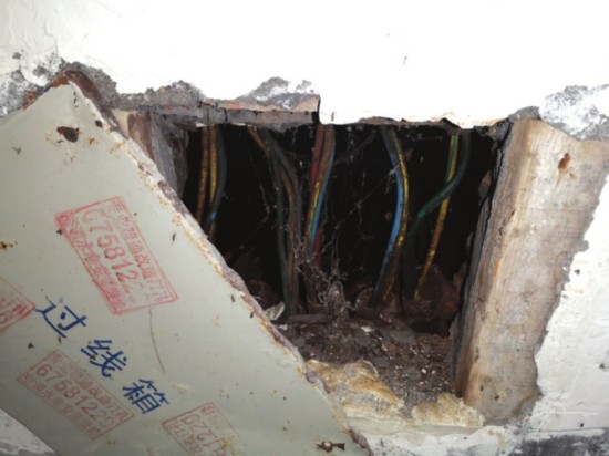 大量蚊虫通过这处过线箱出入地下空洞。 记者 程茉摄