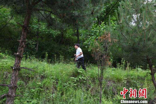 退伍军人回乡创业将山间中药加工销售带民致富