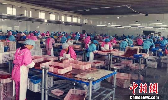 对标国际黑龙江外向型农业前5月出口额破25亿元