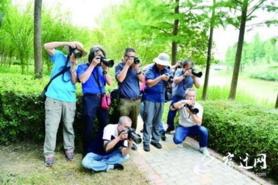 百业兴旺致富 万众一心图强——聚焦“奋进泗洪”大型采风活动