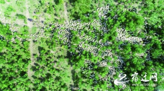 百业兴旺致富 万众一心图强——聚焦“奋进泗洪”大型采风活动