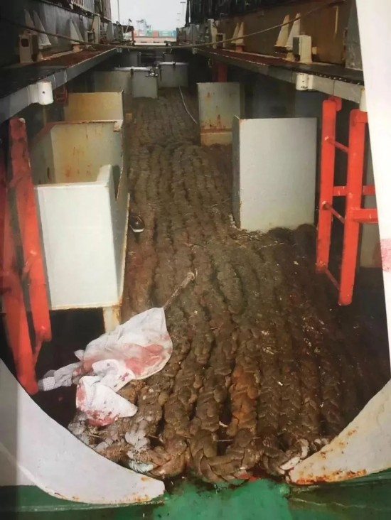 事发时,甲板上留下一件带血的上衣。