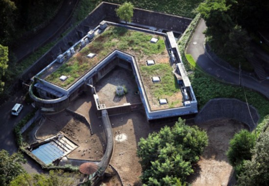 日本多摩动物园一饲养员遭犀牛袭击 惨死园内（图片来源：朝日新闻网站）