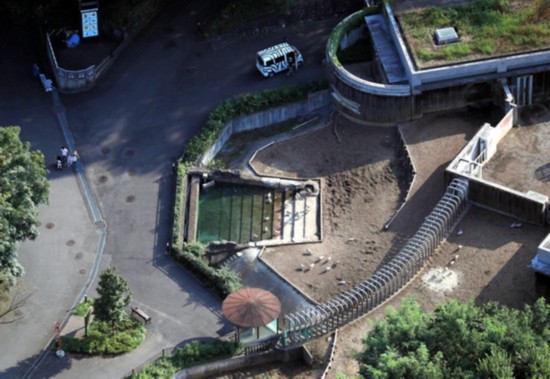 日本多摩动物园一饲养员遭犀牛袭击 惨死园内（图片来源：朝日新闻网站）